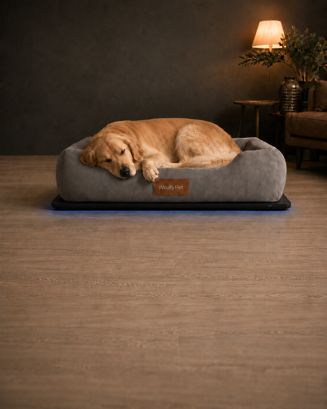 Golden Retriever resting on WoafyPet Bed in a warm home
