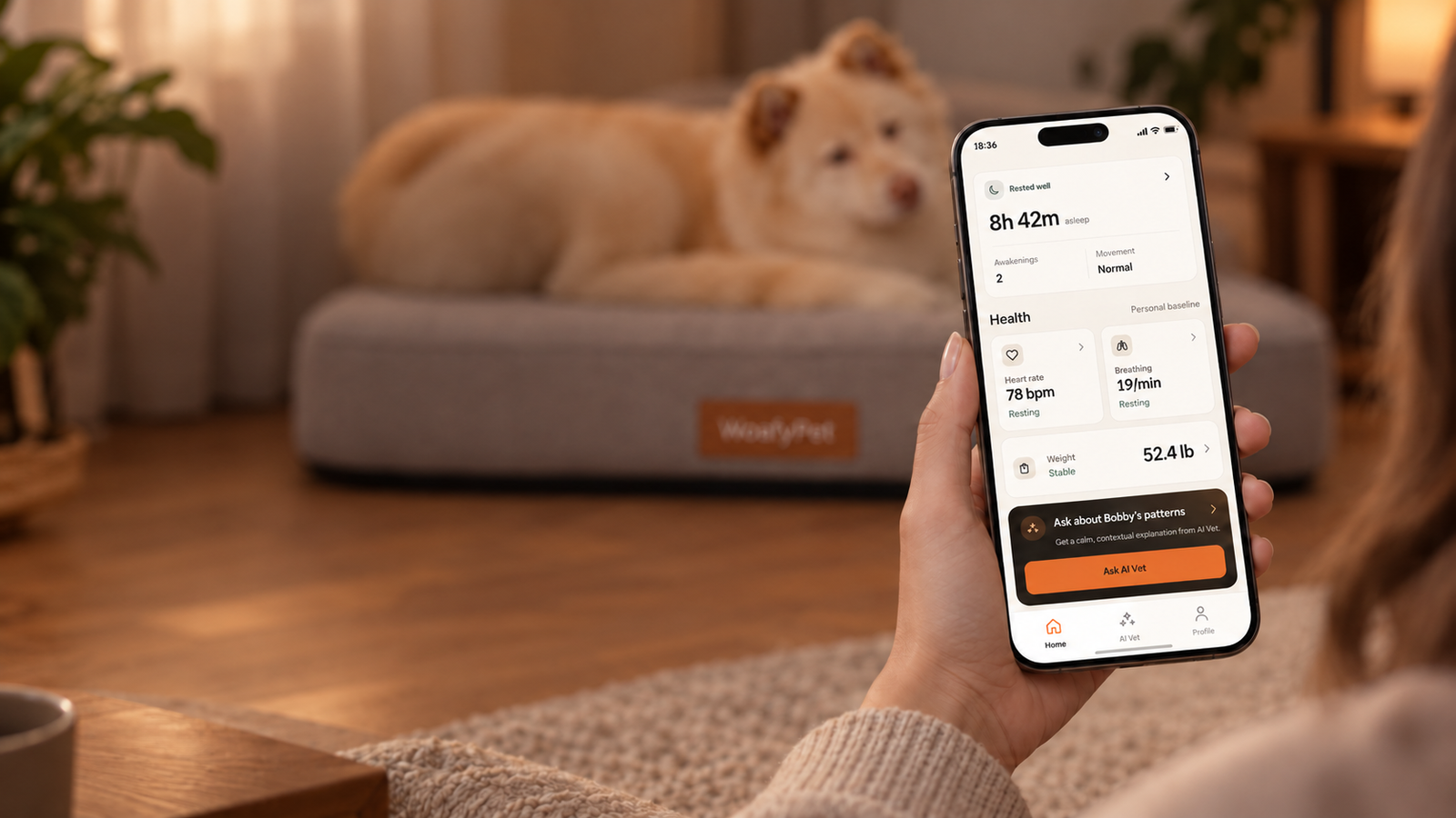 A pet parent viewing WoafyPet resting health insights while their dog rests on the bed.