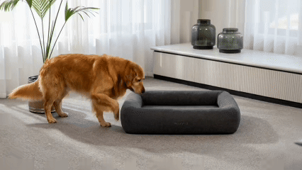 WoafyPet Bed